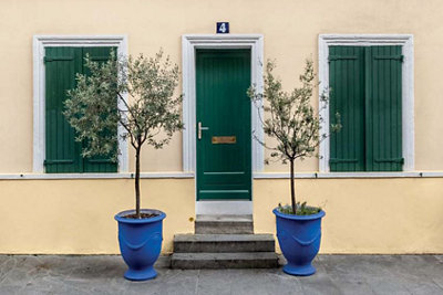 A light lemon coloured house, with green front door and matching green shutters. Read the GoodHome masonry paint buying guide.