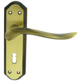 PAIR Curved Handle on Sculpted Lock Backplate 180 x 48mm Florentine Bronze
