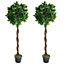 Pair of 120cm (4ft) Twist Natural Artificial Topiary Bay Laurel Ball Trees