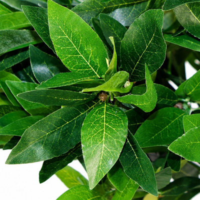 Pair of 120cm (4ft) Twist Natural Artificial Topiary Bay Laurel Ball Trees