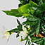Pair of Artificial Duranta White Flowers Hanging Basket with Solar Light  26cm