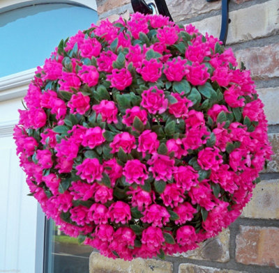 Pair of Best Artificial 28cm Pink Rose Hanging Basket Flower Topiary Ball - Suitable for Outdoor Use - Weather & Fade Resistant