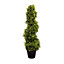 Pair of Best Artificial 2ft - 60cm Green Boxwood Spiral Topiary Tree - Suitable for Outdoor Use - Weather & Fade Resistant