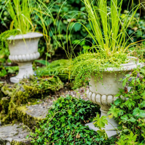 Pair of Classic Stone Cast Garden Urns