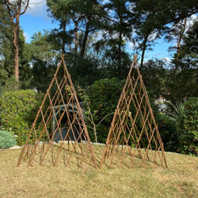 Pair of Expanding Willow Garden Obelisks (1.2m) Ideal for Climbing Plants