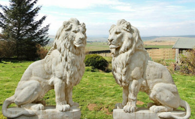 Pair of Giant Stone Cast Lion statues on Plinths 6 ft high, 1600 kg set