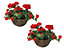 Pair of Large Artificial Geranium Flowers Rattan Hanging Basket Decoration Red 30cm