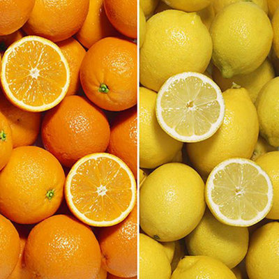 Pair of Large Orange and Lemon Trees in 4/5L Pots Plus 150g Citrus Feed, House Plant, Conservatory or Garden Plants