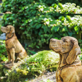 Pair of Life Size Hound Statues