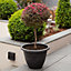 Pair of Silver Round Laurel Planters Containers For Growing