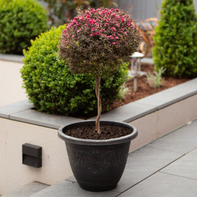 Pair of Silver Round Laurel Planters Containers For Growing