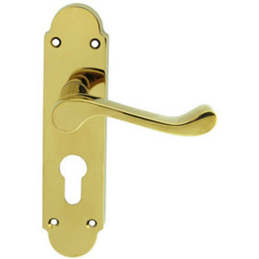 PAIR Victorian Upturned Lever on Euro Lock Backplate 170 x 42 Polished Brass