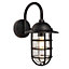 Pallion Black with Caged Clear Glass Shade Modern 1 Light Outdoor Wall Light
