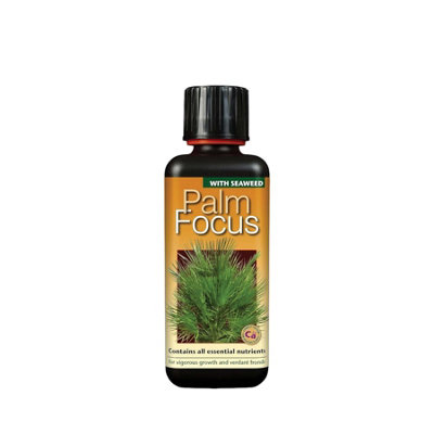Palm Focus 300ml Concentrated Liquid Fertiliser for Healthy Strong and ...