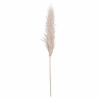 Pampas Grass Artificial Plant - L8 x W23 x H110 cm - Cream - Single Stem