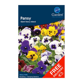 Pansy Giant Fancy Mixed (Viola wittrocklana)