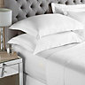 Paoletti 200 Thread Count Cotton Fitted Bed Sheet