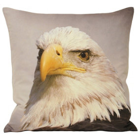 Paoletti Animal Eagle Feather Filled Cushion