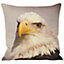 Paoletti Animal Eagle Polyester Filled Cushion