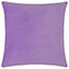 Paoletti Mentera Floral Cotton Velvet Feather Filled Cushion
