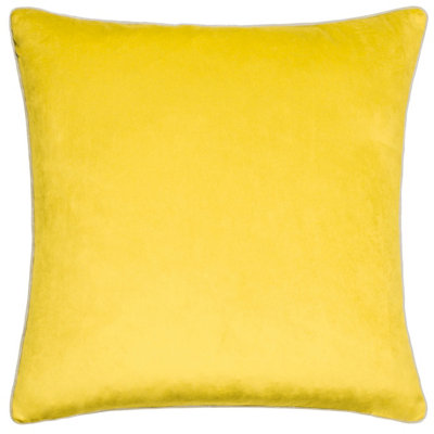 Paoletti Meridian Velvet Piped Feather Filled Cushion