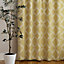 Paoletti Olivia Lattice Embroidered Pencil Pleat Curtains, Citron