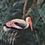 Paoletti Platalea Tropical Bird Woven Outdoor/Indoor Rug