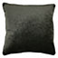 Paoletti Stella Embossed Piped Polyester Filled Cushion