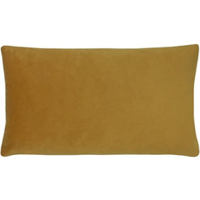 Paoletti Sunningdale Rectangular Velvet Polyester Filled Cushion