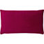 Paoletti Sunningdale Reversible Rectangular Velvet Polyester Filled Cushion