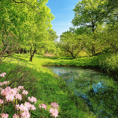 Park in the Spring Mural - 384x260cm - 5408-8