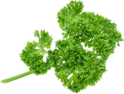 Parsley Moss Curled - 1 x Seed Packet (750 Seeds)
