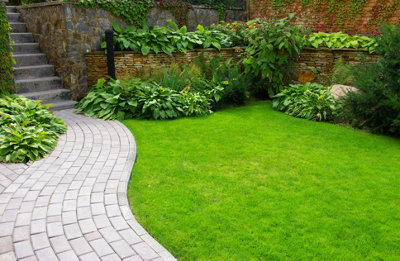 A curved brick pathway made with block paving, winding gracefully beside a lush green lawn.