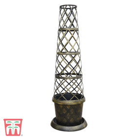 Patio Pot and Growing Frame - Tower Pot Black & Gold x 5