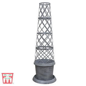 Patio Pot and Growing Frame - Tower Pot Grey x 1