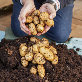 Patio Potato Pack Grow Your Own Potatos on Your Patio - Vegetable Growing Kit for Patios and Small Gardens- Outdoor Vegetable Plan