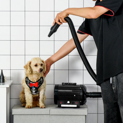 Dog grooming hair store dryer