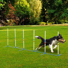PawHut Adjustable Dog Agility Training Obstacle Course Set with Weaves Poles Storage Bag for Pet Dogs Outdoor Games Exercise