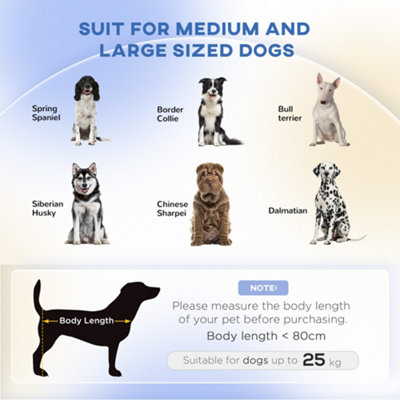 Small medium best sale and large dogs