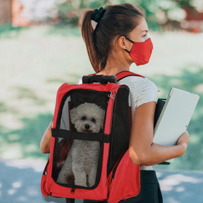 Puppy dog shop carrier