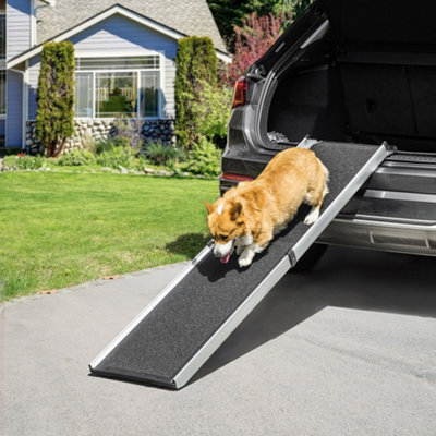 Car with dog store ramp