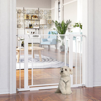 Lockable dog outlet door