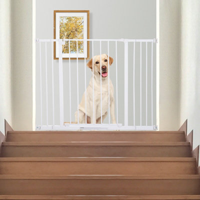 6 foot pressure mounted pet gate best sale