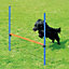 Pawise Pet Dog Agility Hurdles Jump Obstacle Training Equipment