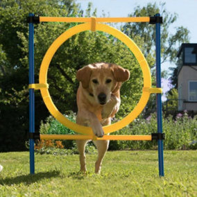 Pawise Pet Dog Agility Training Jumping Ring Hoop Hurdle