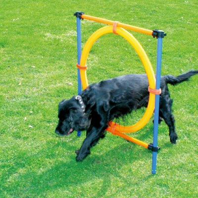 Pawise Pet Dog Agility Training Jumping Ring Hoop Hurdle