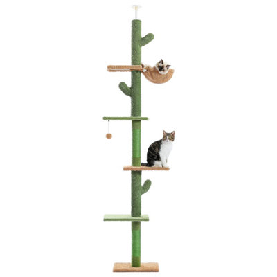 Cat climbing tree outlet floor to ceiling