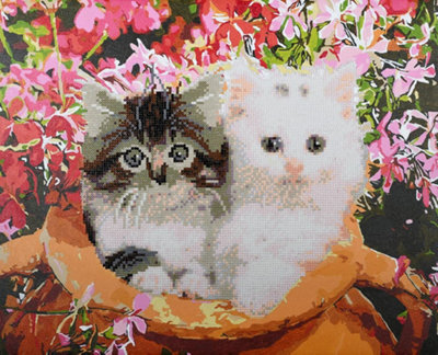 PBN/DD CATS IN F/POT - iPaint & Dot Kit: Cats in Flowerpot - Vervaco