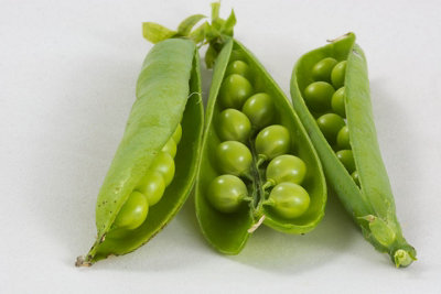 Pea Kelvedon Wonder Vegetable Seeds (Approx. 54 seeds) by Jamieson Brothers - 3