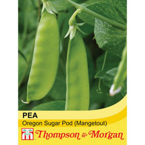Pea Oregon Sugar Pod 1 Seed Packet (250 Seeds)